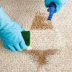 Tough Stain & Odour Removal
