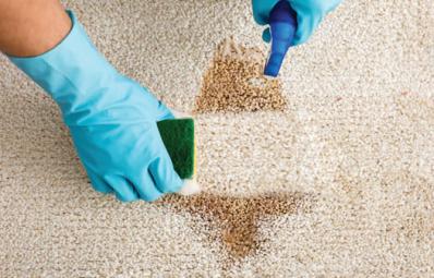 Tough Stain & Odour Removal
