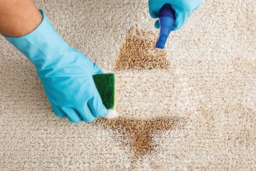 Tough Stain & Odour Removal