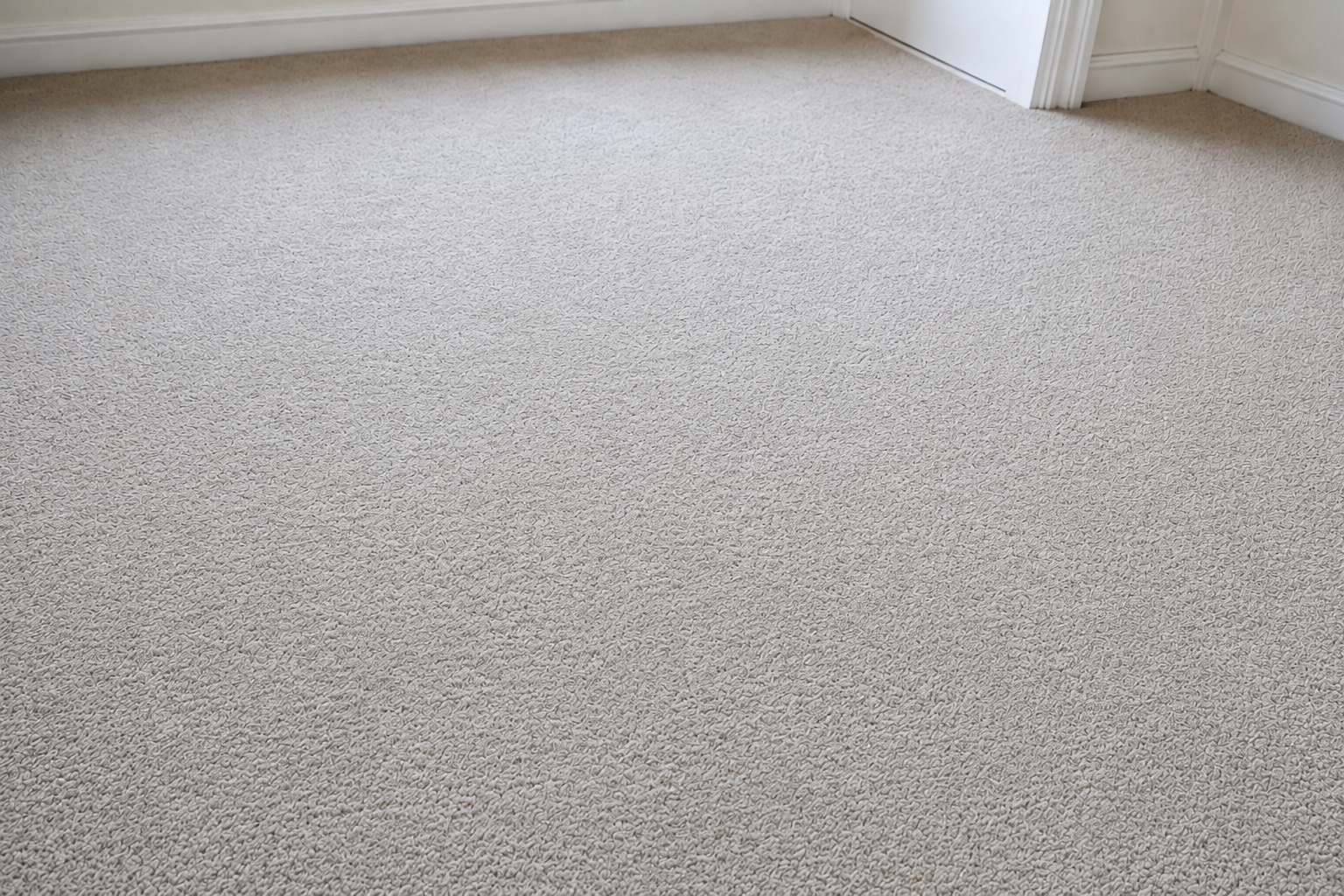 After — Pet Urine & Odour